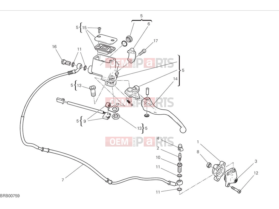 Clutch control - Ducati Scrambler Nightshift 2024