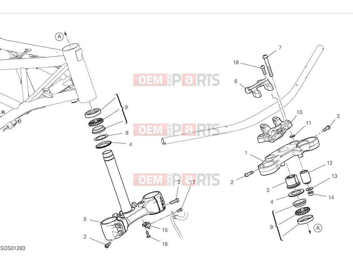 DUCATI 2024 Scrambler Nightshift Steering assembly