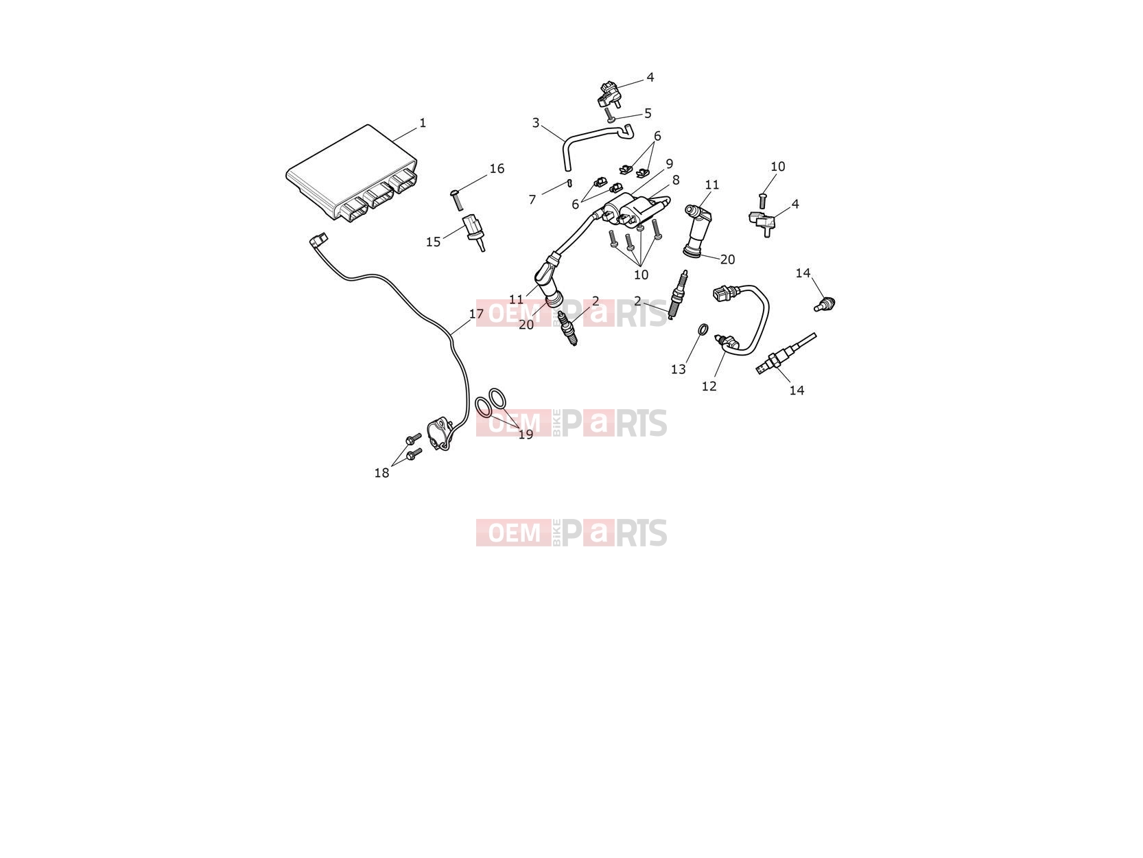 Engine Management System - Triumph Scrambler 900 2024