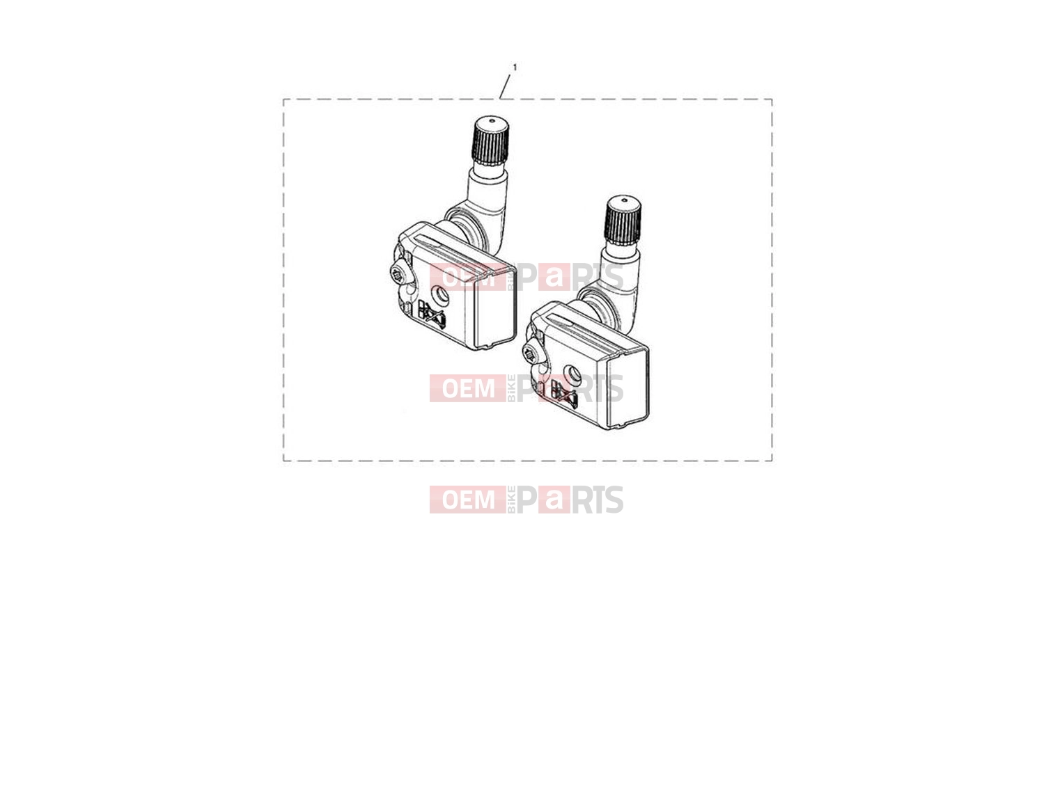 TPMS - Triumph Trident 660 2023