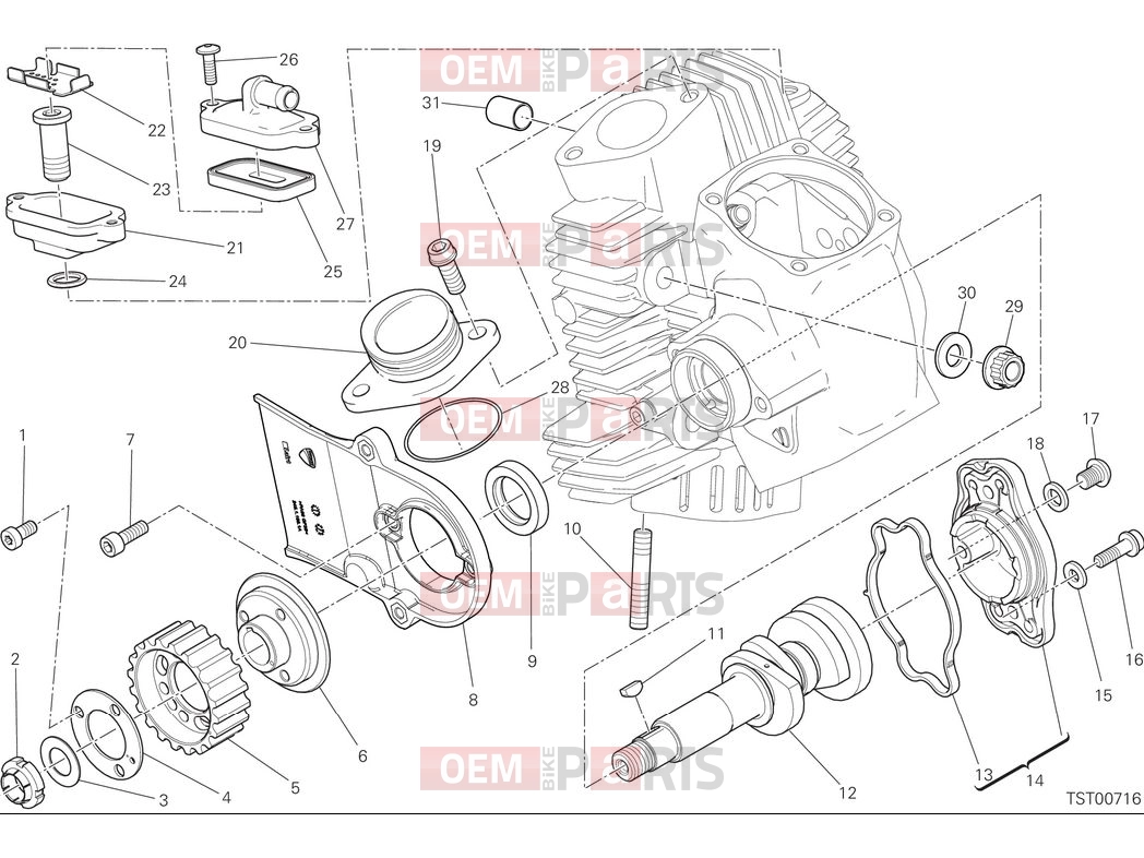DUCATI 2025 Scrambler Nightshift Horizontal head timing system