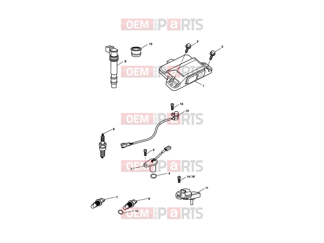 Triumph 2013 SPRINT GT Engine Management System