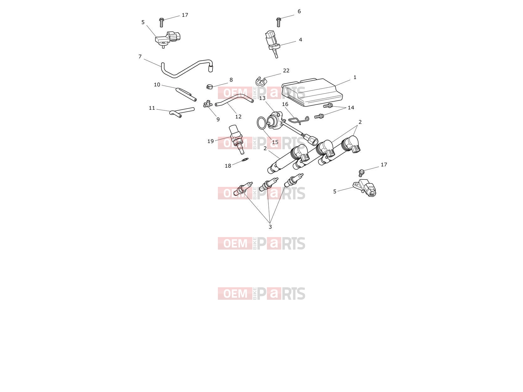 Triumph 2026 Trident 800 Engine Management System