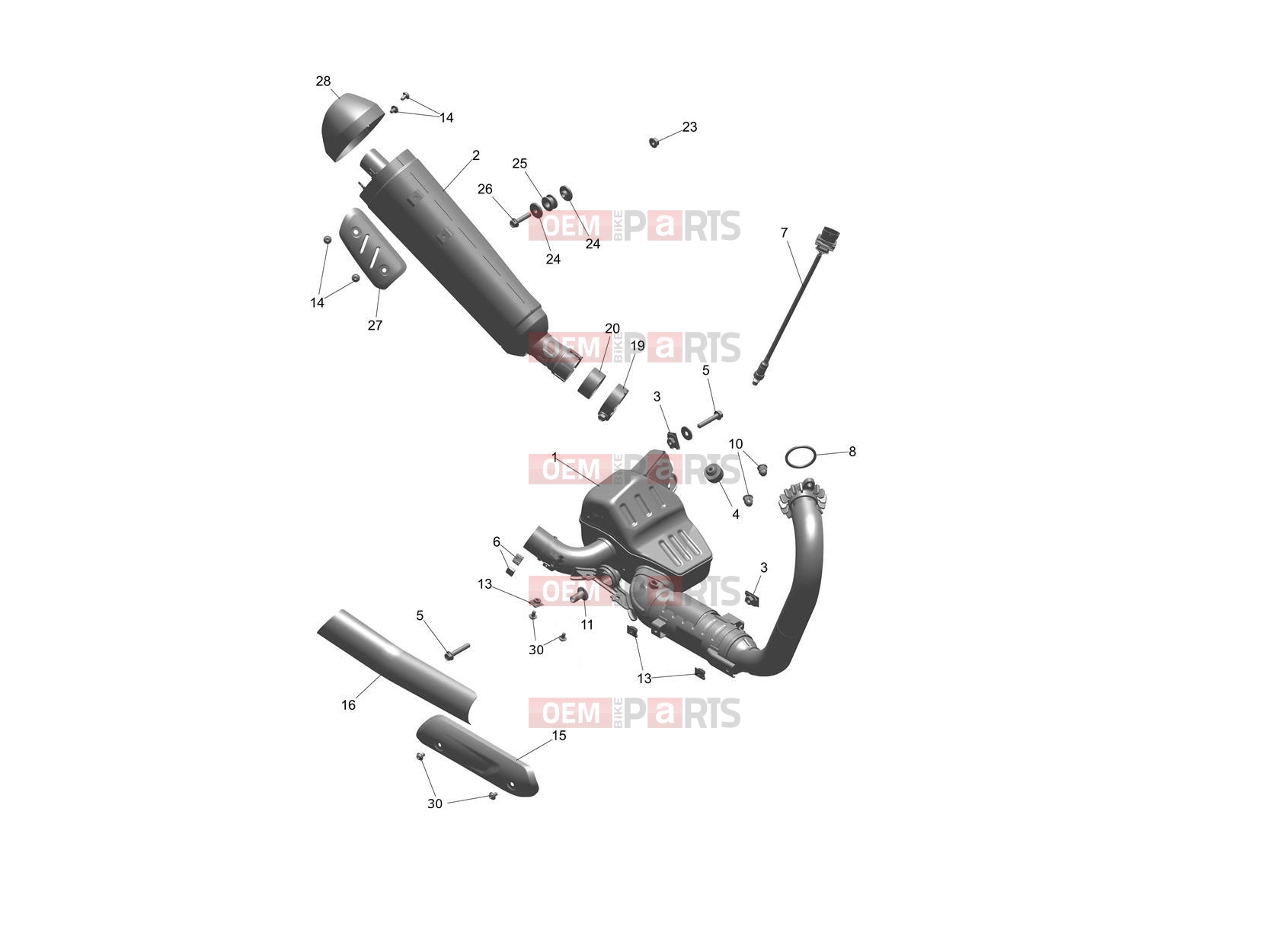 Triumph 2026 SPEED 400 Exhaust System