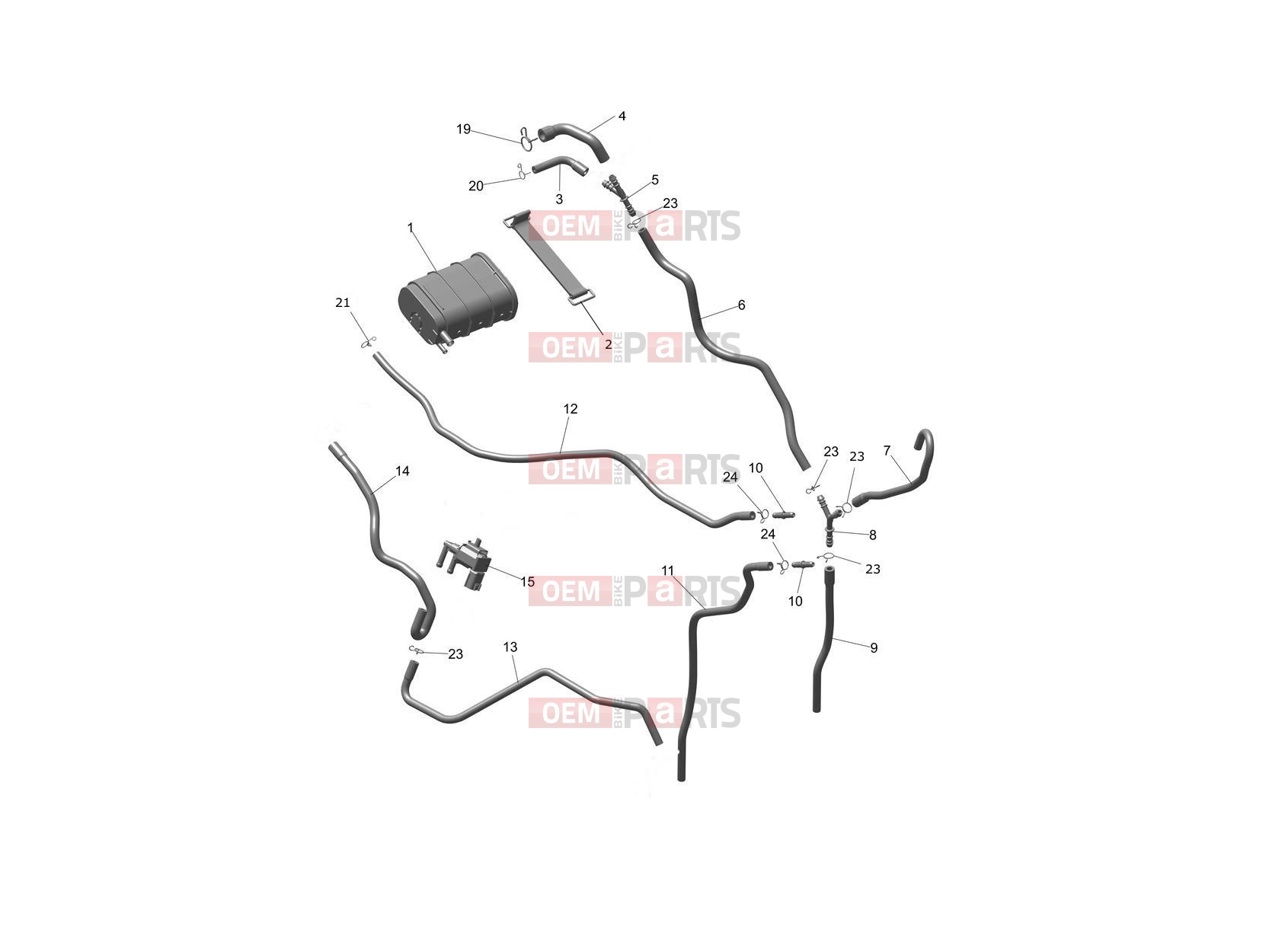Triumph 2026 SPEED 400 Evap System