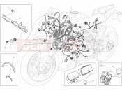 DUCATI 2014 Superbike 1199 Panigale R WIRING HARNESS » WIRING HARNESS