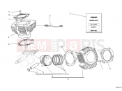 DUCATI 2012 Monster 696 ABS CYLINDER - PISTON » ENGINE CASE