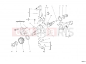 DUCATI Hypermotard 796 CRANKSHAFT » ENGINE CASE