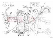 DUCATI 2009 Superbike 1098 R WIRING HARNESS » WIRING HARNESS