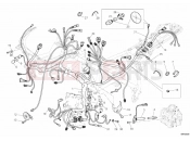 DUCATI Superbike 1198 WIRING HARNESS » WIRING HARNESS