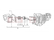 PIAGGIO Cylinder-piston-wrist pin, assy
