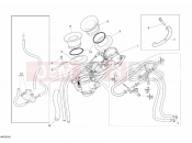 DUCATI 2008 Monster S4RS TRICOLORE THROTTLE BODY » INTAKE, CARBURETTOR