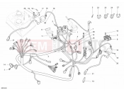 DUCATI Monster 695 WIRING HARNESS » WIRING HARNESS
