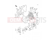KAWASAKI 2009 Engine Cover(s)