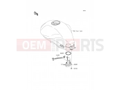 KAWASAKI 2009 Fuel Pump