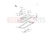 Cylinder Head Cover - Kawasaki VERSYS (KLE650A9F) 2009