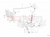 DUCATI 2007 Superbike 999 S AMA Replica COOLING CIRCUIT » UNCLASSIFIED