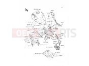 KAWASAKI 2011 Side Covers/Chain Cover