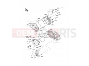 KAWASAKI 2012 Engine Cover(s)