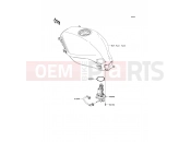 KAWASAKI 2012 Fuel Pump