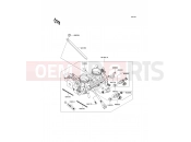 KAWASAKI VERSYS ABS (KLE650DCFW) Throttle