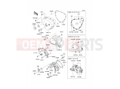 KAWASAKI 2013 Left Engine Cover(s)