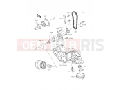 KAWASAKI 2016 Oil Pump