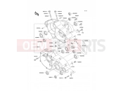 KAWASAKI 2006 Crankcase