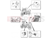 MV AGUSTA Brutale 750 ORO Foreign Countries Versions