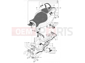 MV Agusta 2003 F4 750 SPR Rear Fairing (double seat)