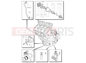 MV Agusta 2007-2008 F4 312R 1000 Lubrication System
