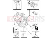 MV Agusta 2007-2008 F4 312R 1000 Engine Electric System