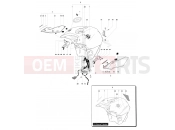 MV Agusta 2012 F4 RR Fueltank Assembly