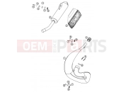 KTM 65 SX (600126) [EU] 2002 EXHAUST SYSTEM