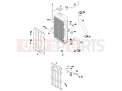 COOLING SYSTEM - KTM 65 SX (600106) [EU] 2000