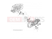 INDIAN SPRINGFIELD ALL OPTIONS (R04) (N18THAAA) ENGINE | ENGINE, CRANKCASE BEARINGS - N18THAAA ALL OPTIONS (49INDIANCRANKCASEBRG14)