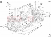 DUCATI Multistrada 1000 CRANKCASE » ENGINE CASE