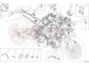 DUCATI 2015 Monster 1200 S Stripe WIRING HARNESS [MOD:M1200STR]
