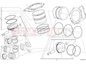CYLINDERS - PISTONS [XST:CAL,CDN] - Ducati Superbike Panigale R 2016
