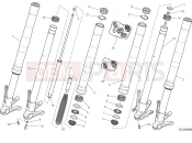 DUCATI Hypermotard 939 FRONT FORK [MOD:HYM 939]