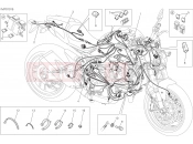 DUCATI Monster 821 WIRING HARNESS [MOD:M 821]