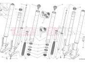 DUCATI Monster 821 Stripe FRONT FORK [MOD:M821 STR]