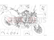DUCATI 2020 Monster 821 WIRING HARNESS [MOD:M 821]