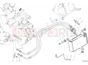 DUCATI 2020 Multistrada 1260 Pikes Peak OIL COOLER [MOD:MS1260PP]