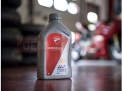 DUCATI 2021 Panigale V2 SHELL ADVANCE [MOD:PANV2]