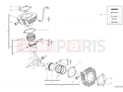 DUCATI 2021 Scrambler Desert Sled Fasthouse CYLINDERS - PISTONS [MOD:SCR800FH]