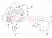 DUCATI 2020 Scrambler Icon Dark WIRING HARNESS (COIL) [MOD:SCR800]