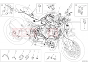DUCATI 2021 Monster 1200 WIRING HARNESS [MOD:M 1200]
