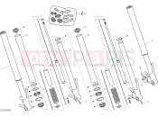 DUCATI Hypermotard 950 Front Fork