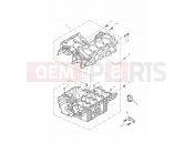 Triumph 2008 DAYTONA 600 & 650 Crankcases
